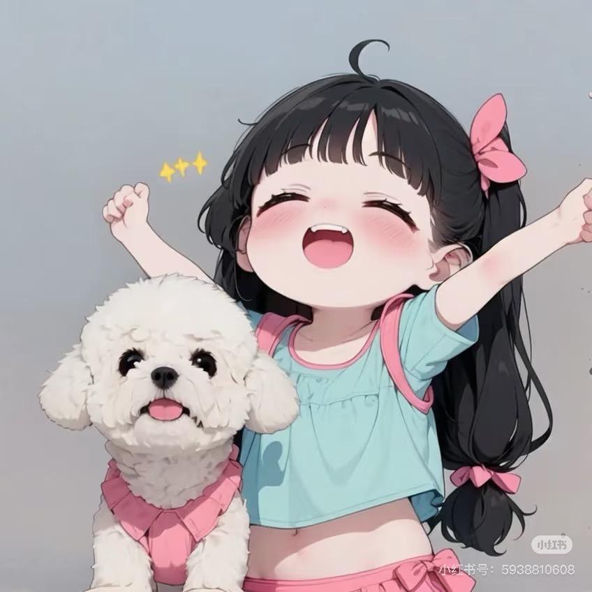 宠大宝