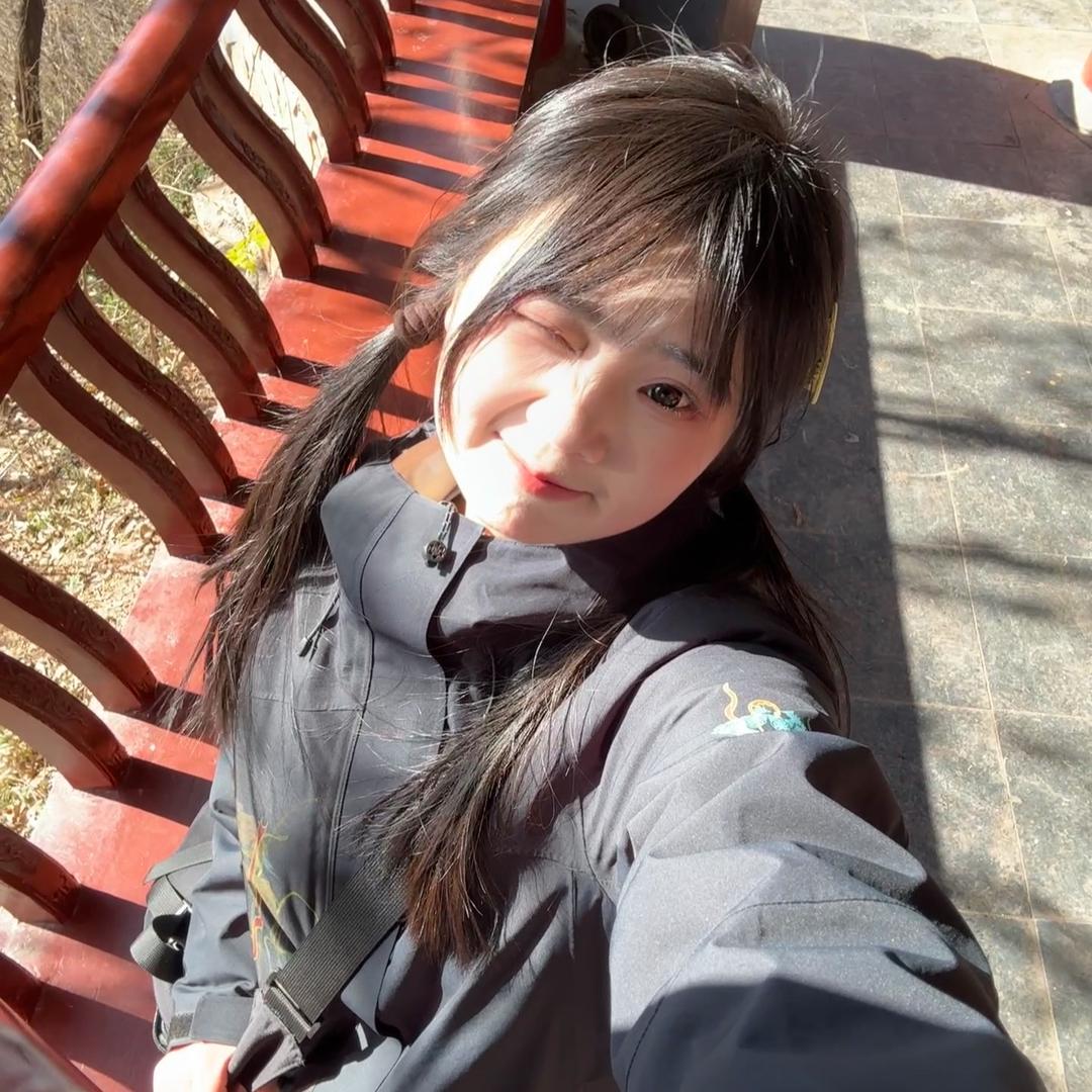 兔崽🐰