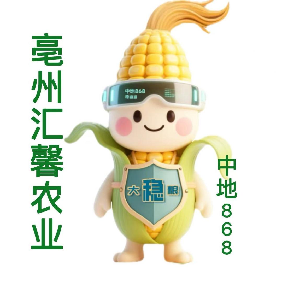 大稳粮中地868汇馨农业-王雨