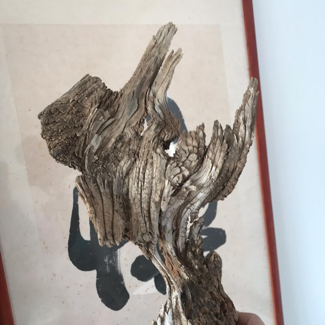 小龙