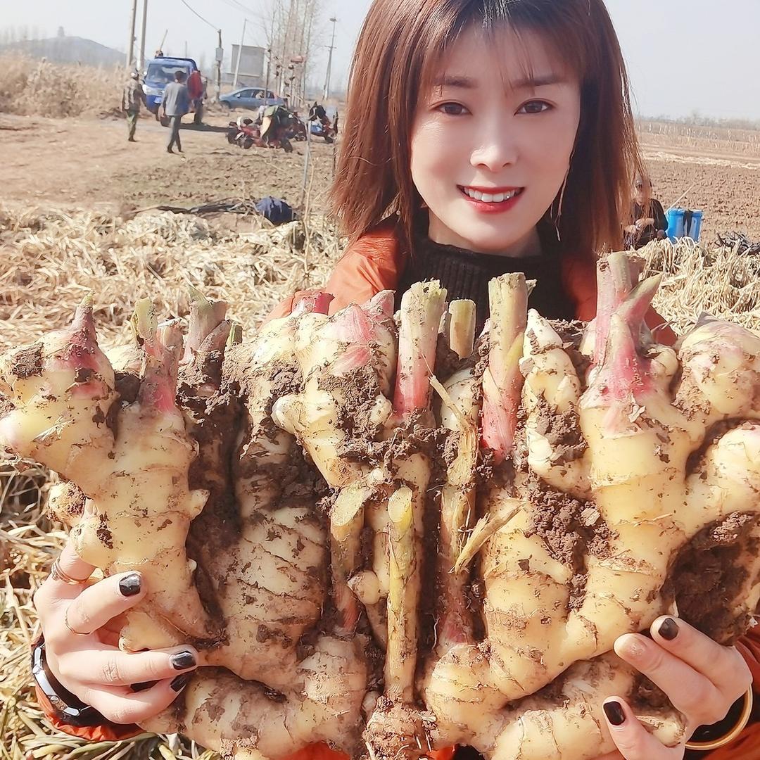最美大姜(山东)花儿