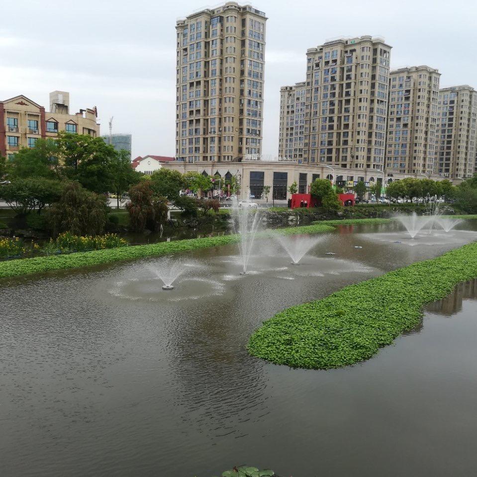 沉默