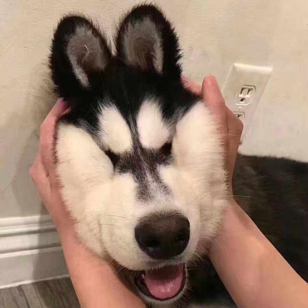 ﻌ 吴名