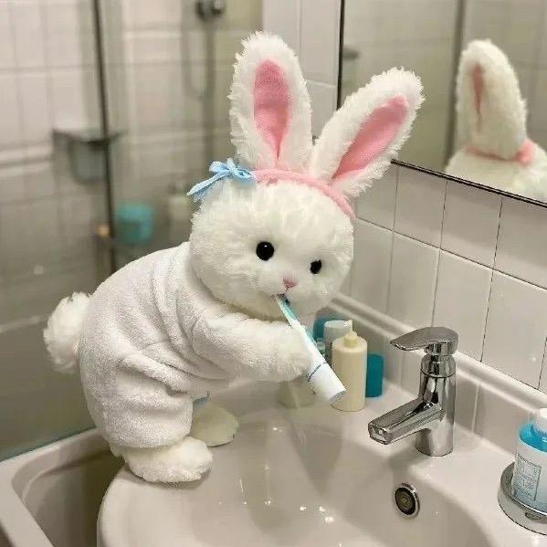 我毕业想去种地