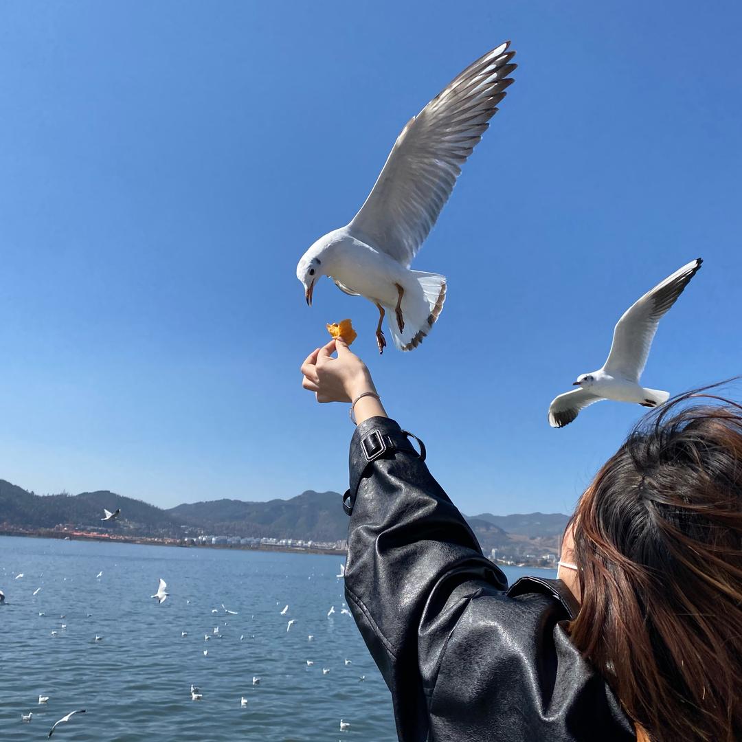 海的颜色