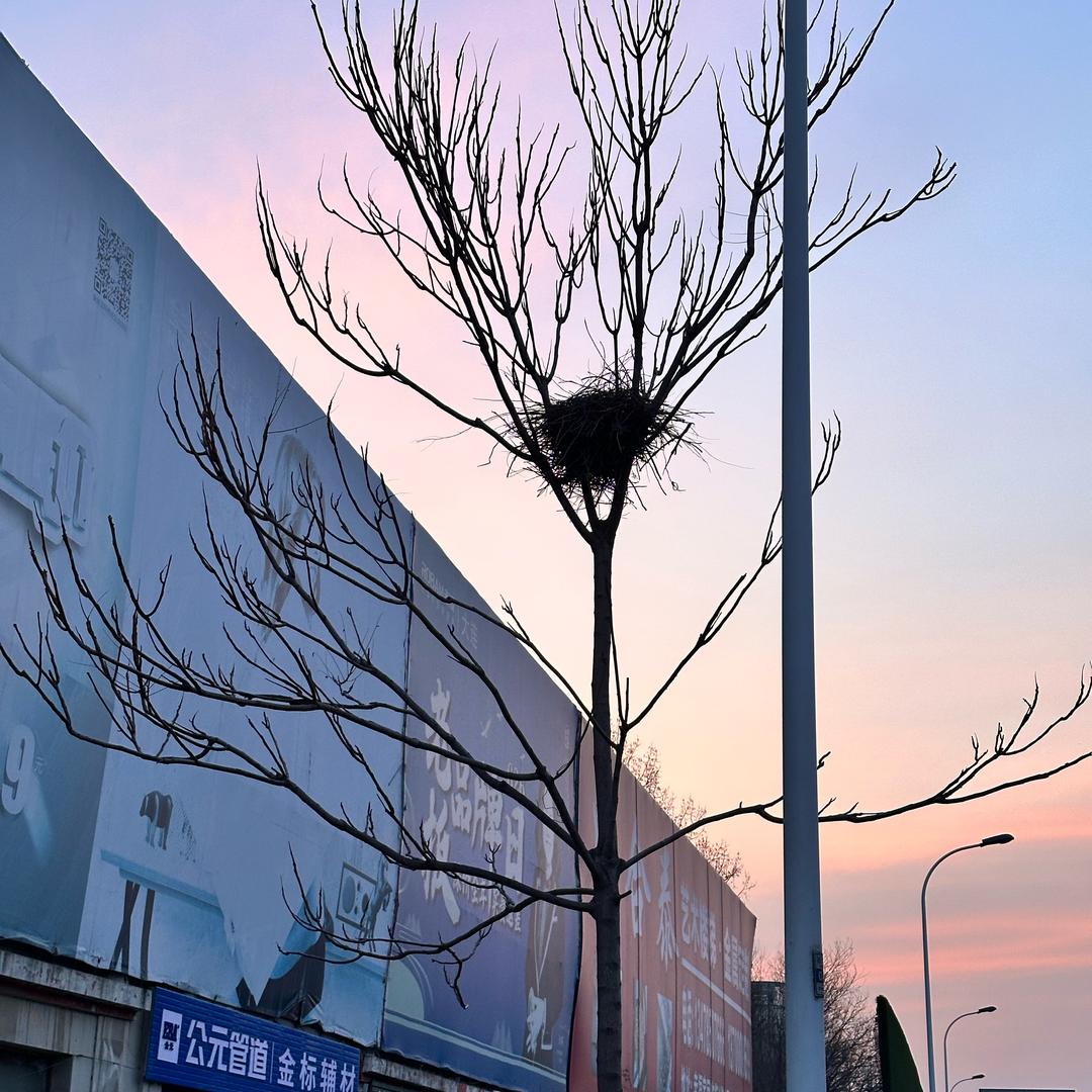 小宅要出门