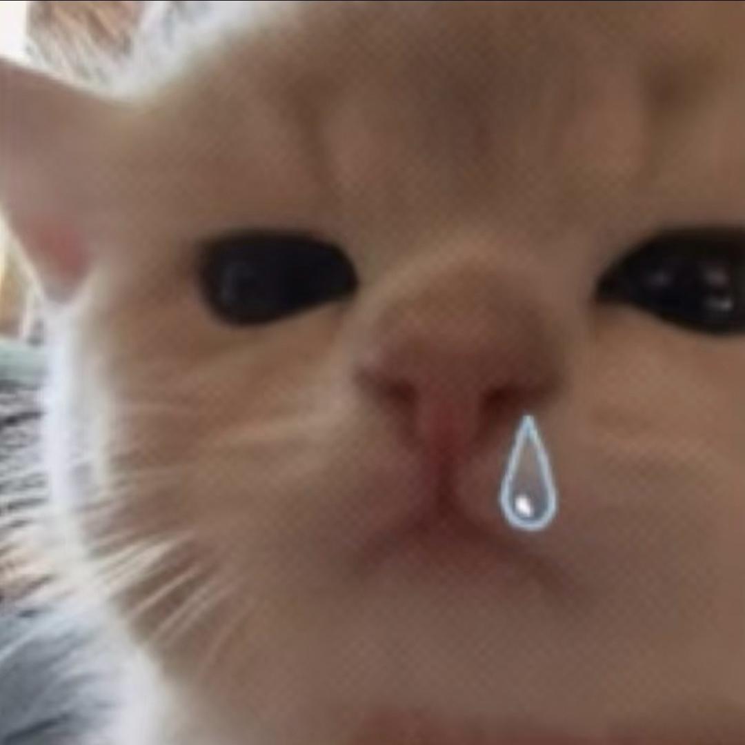 你别闹了呗
