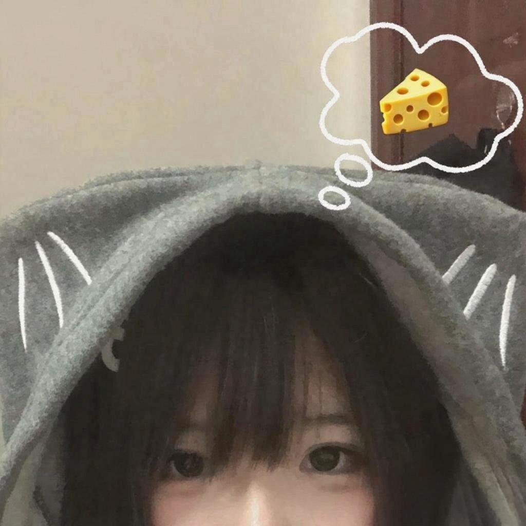 猫的🧀