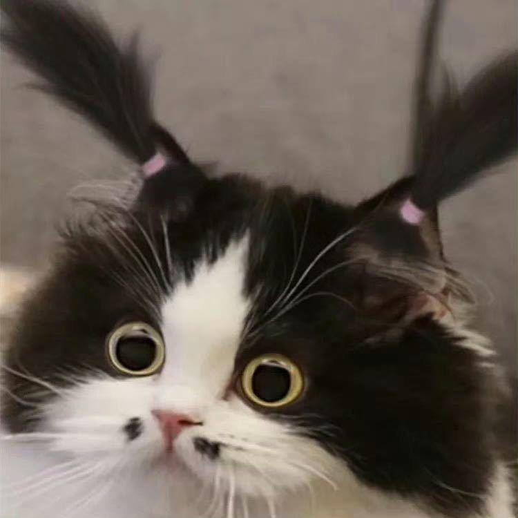 Ssuuu