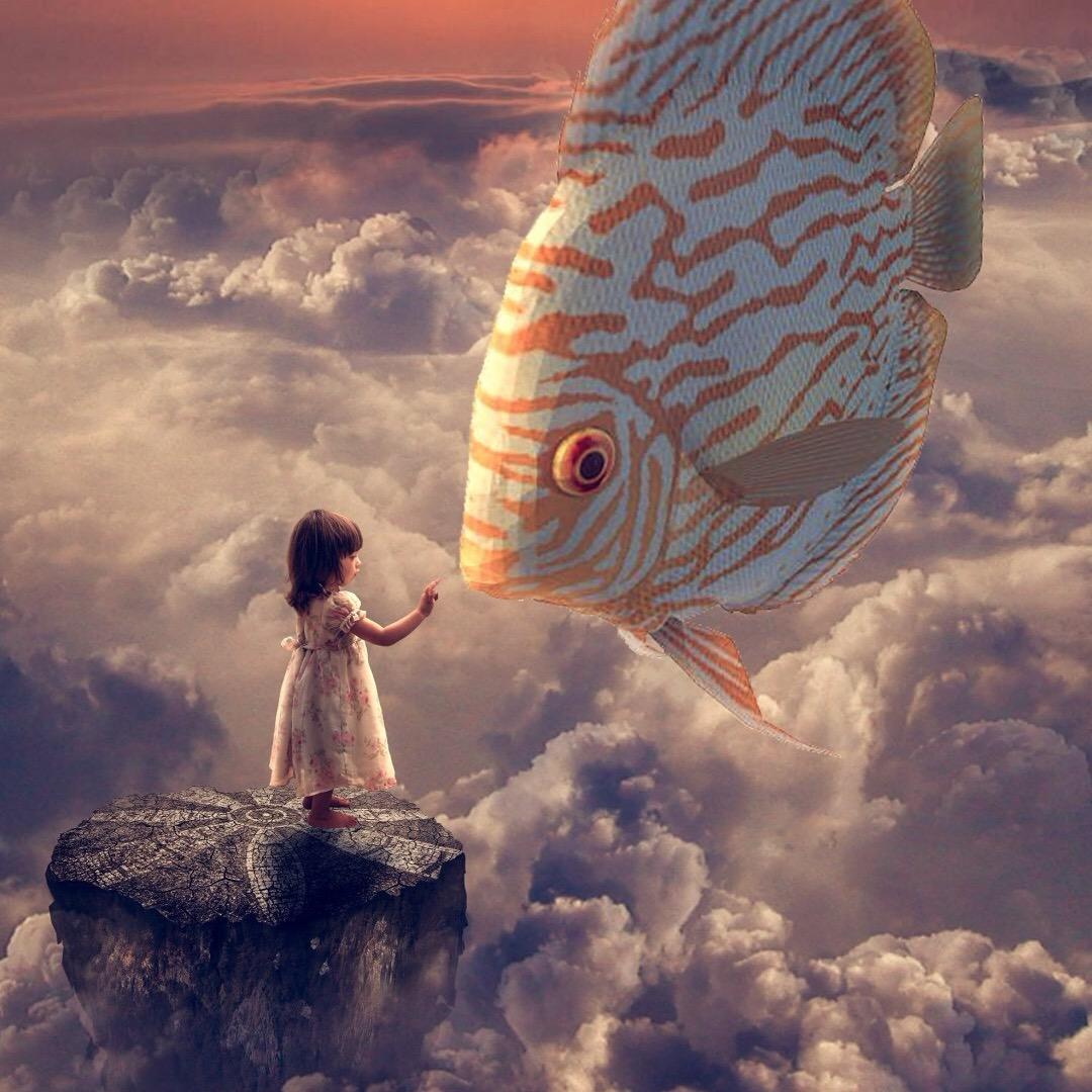 那一天.