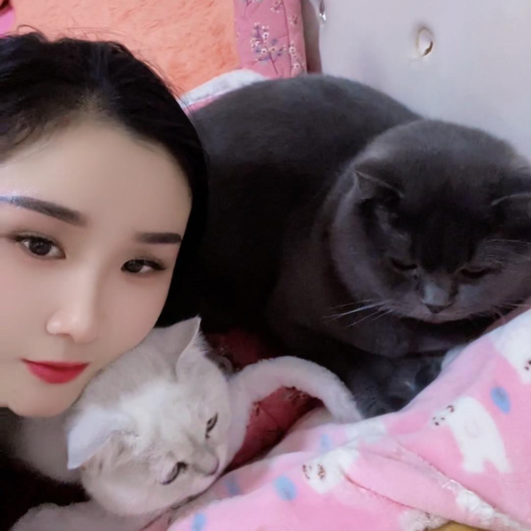 大胖是只喵🐱