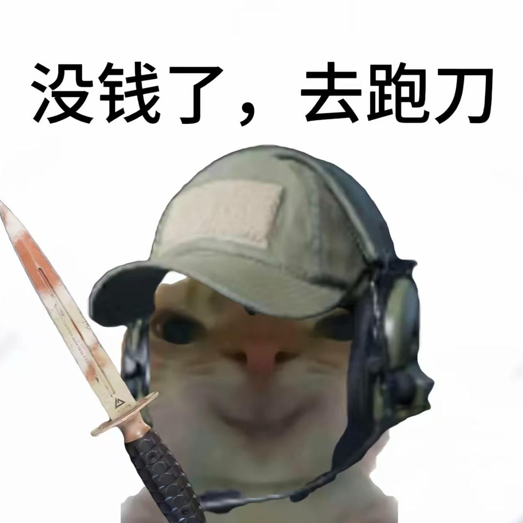 零叁（三角洲行动）
