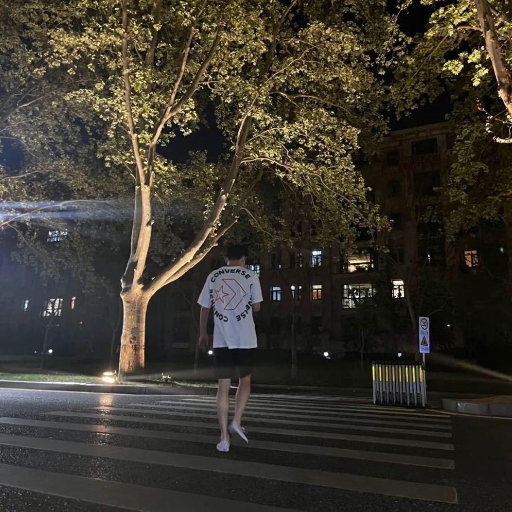 抒情鸭