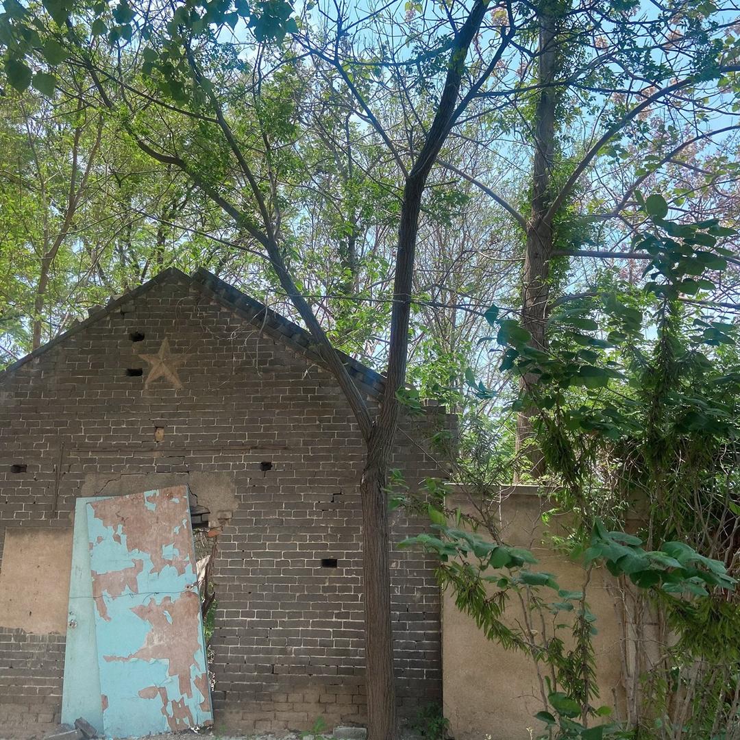 我还在思索名字