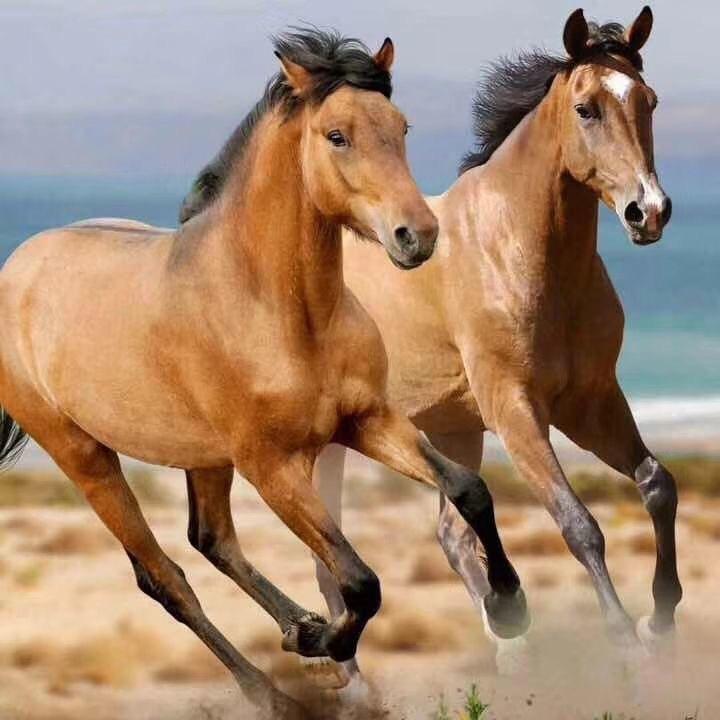 马场 三哥