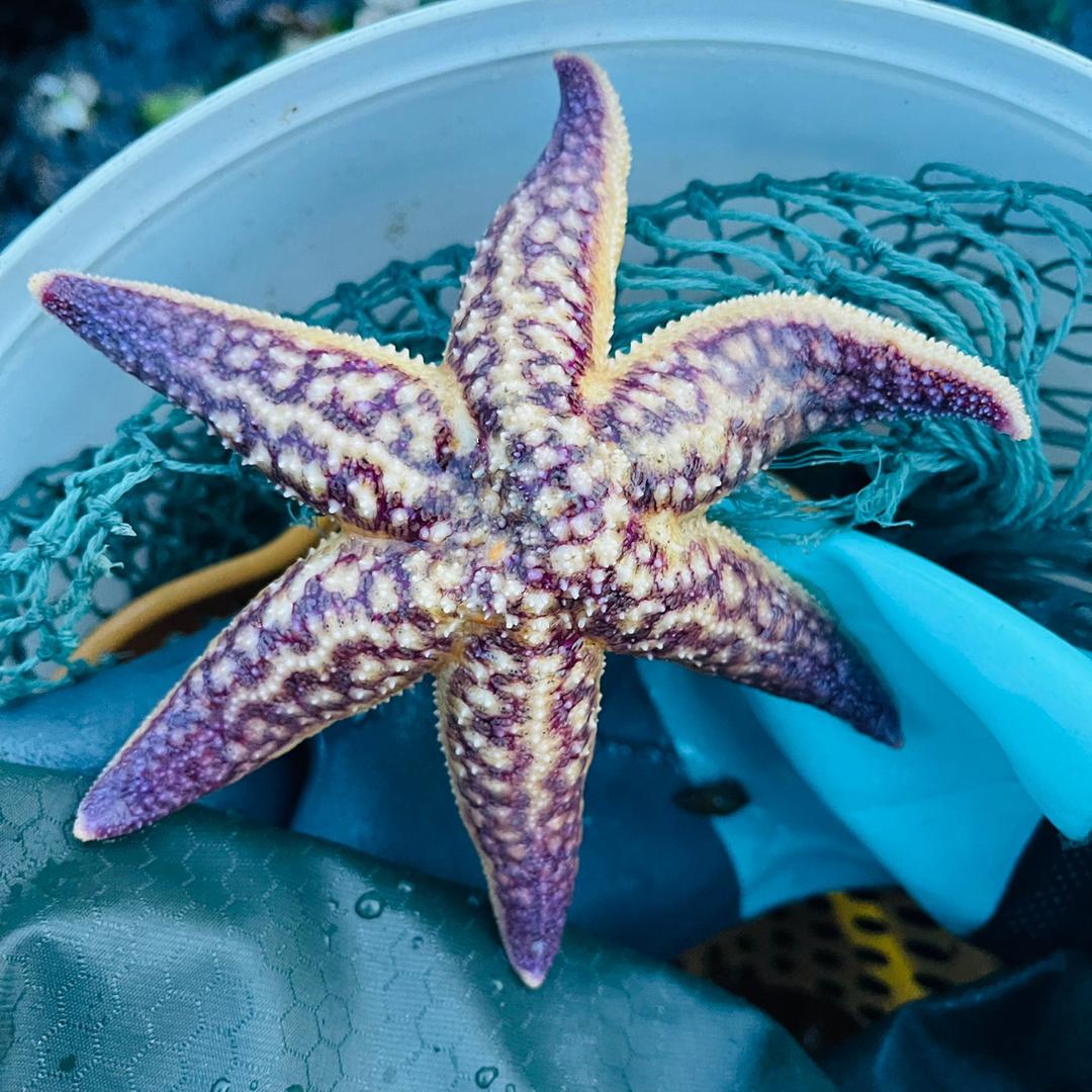 任性赶海钓鱼
