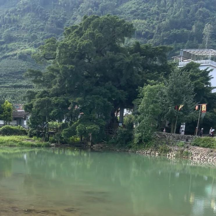 一个黑白颠倒的世界