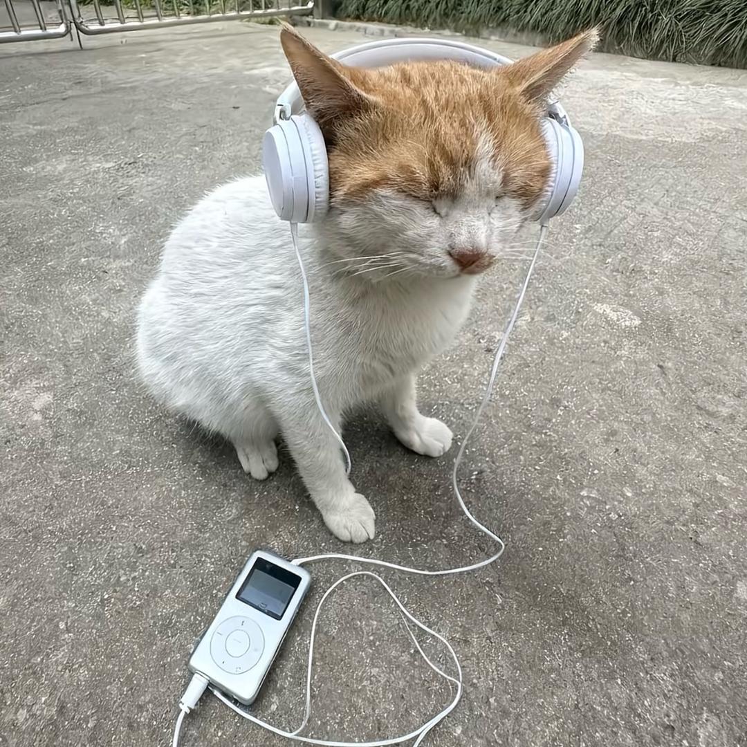 西伯利亚大黑狗