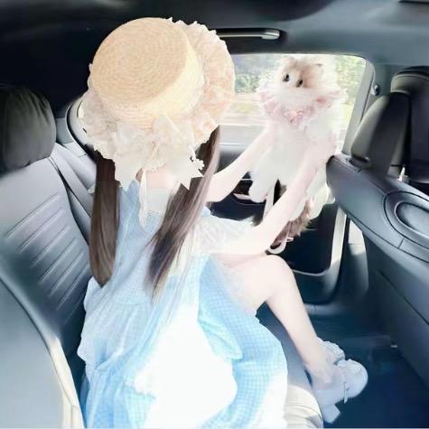 语萌、🌦️