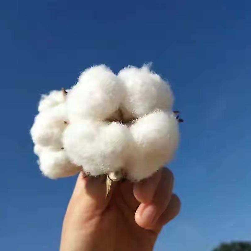 恋思绵新疆棉被