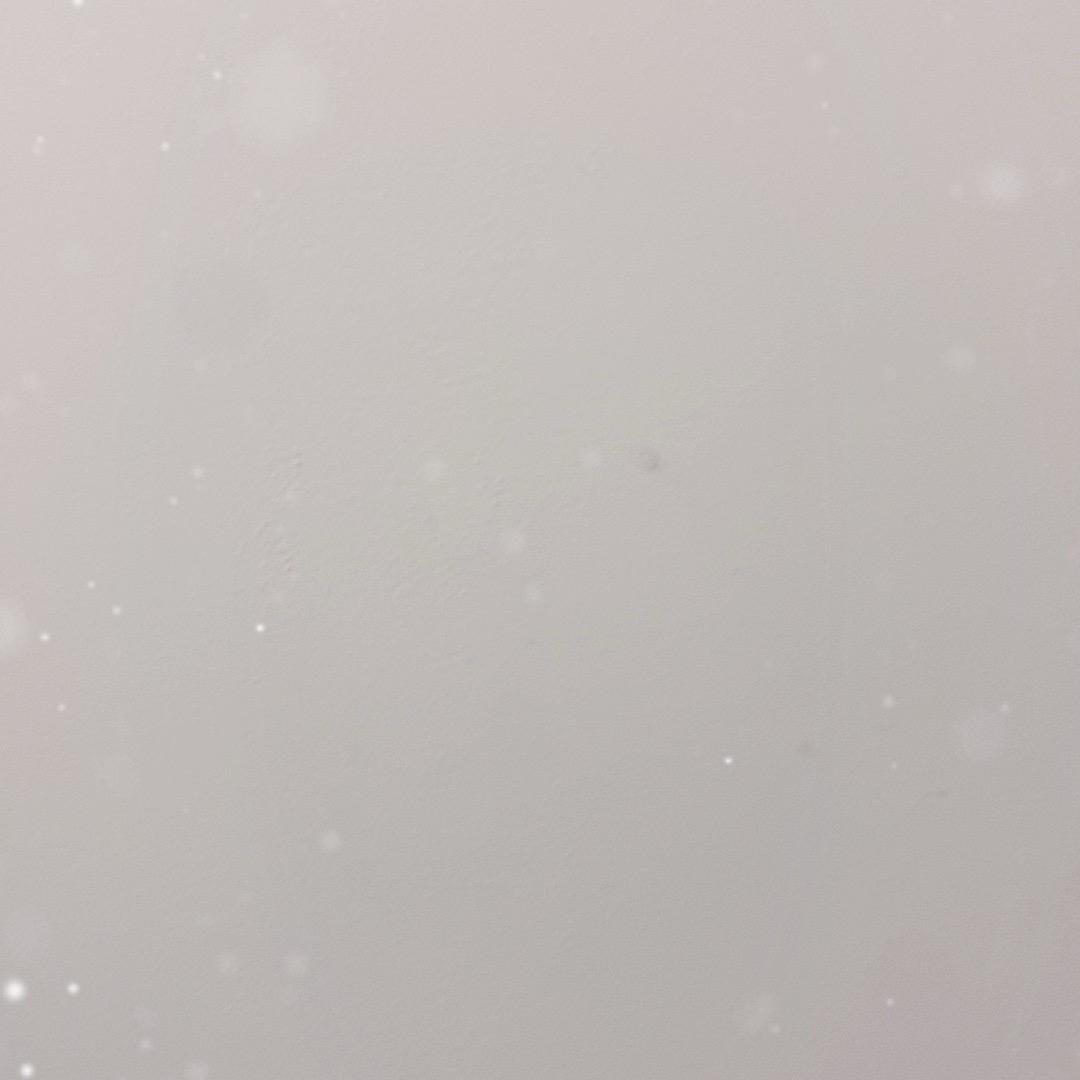 空白😐