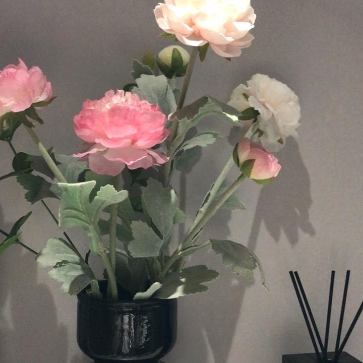 搞信息咨询工作室