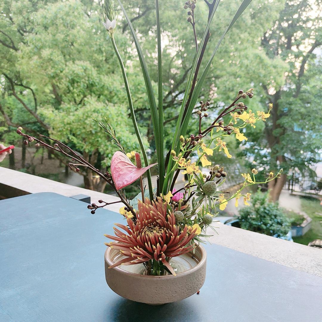 🍀茜茜🍀(拒绝私聊)