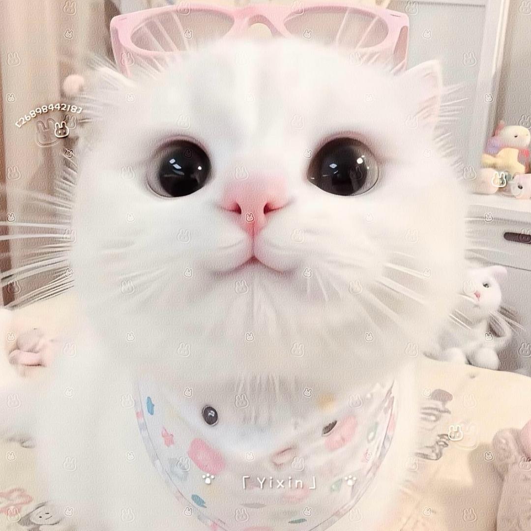 小学生大王