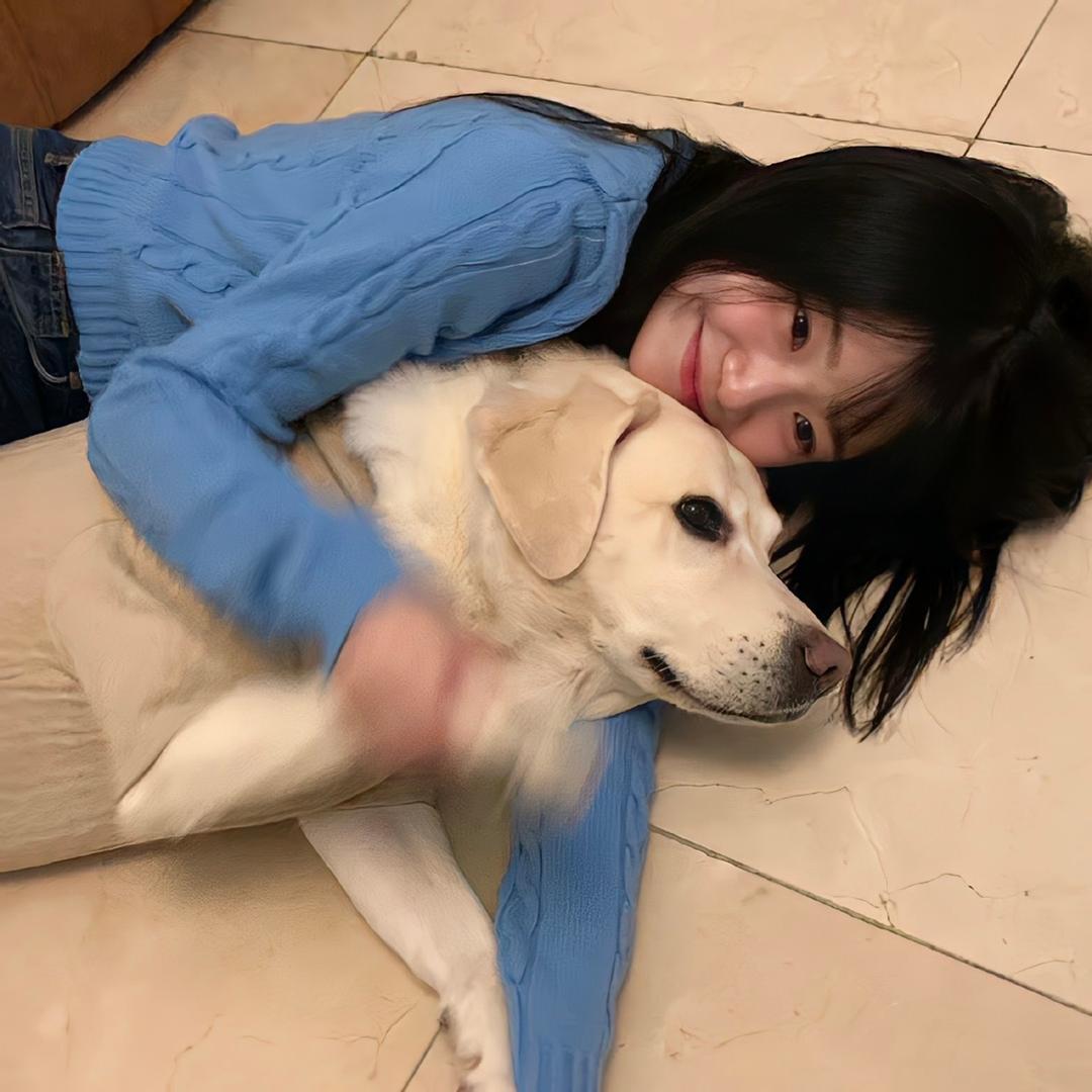斑马的围脖
