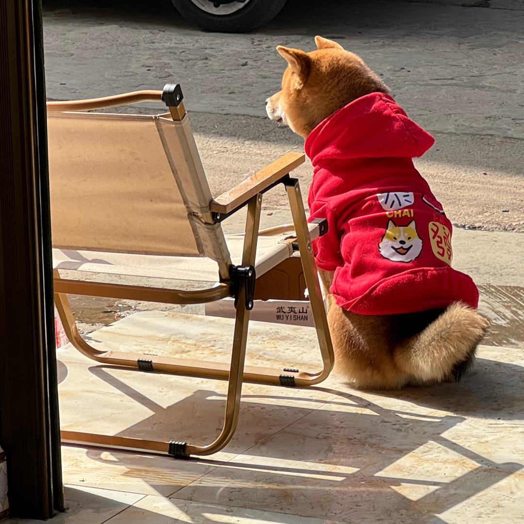异点