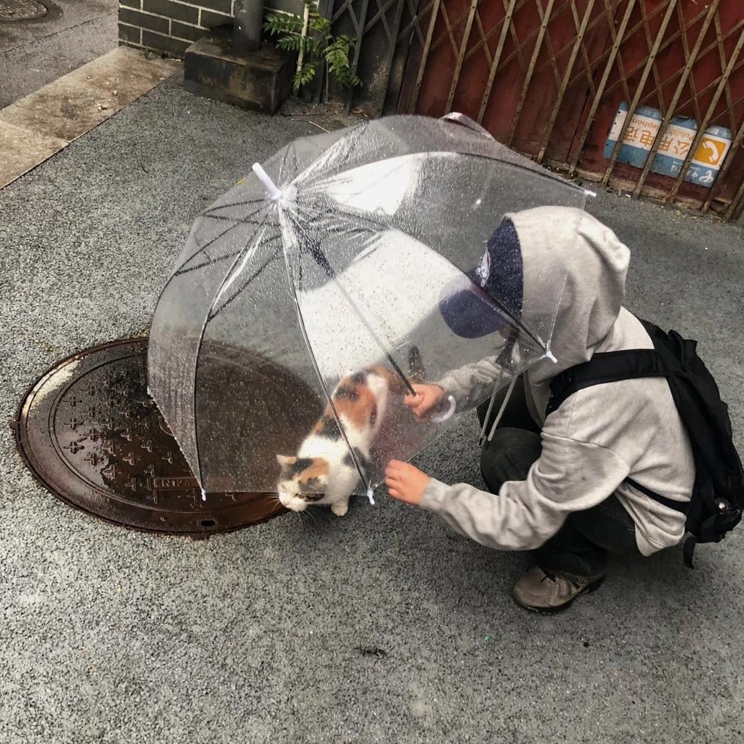 米糊