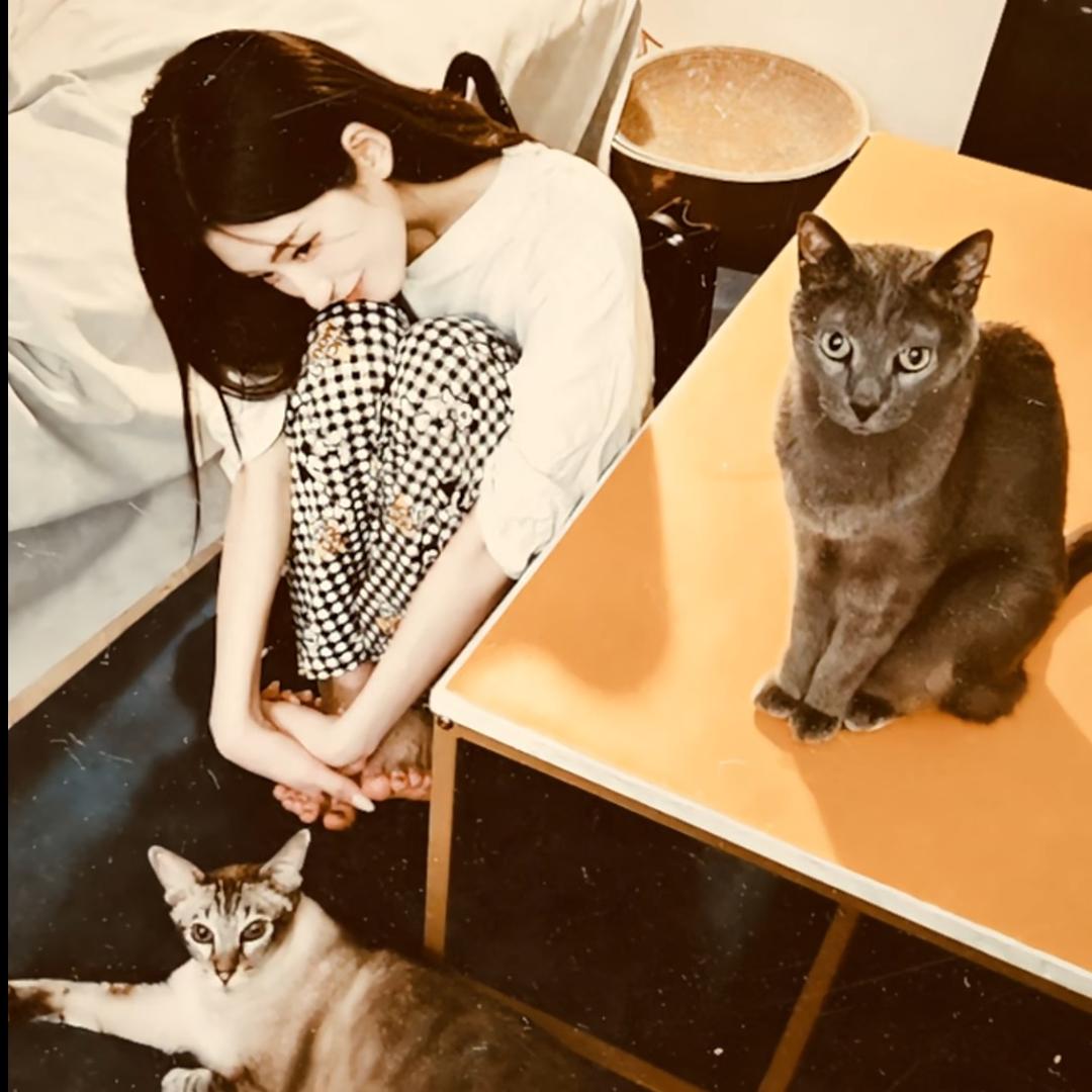 ㅤㅤㅤ   笨