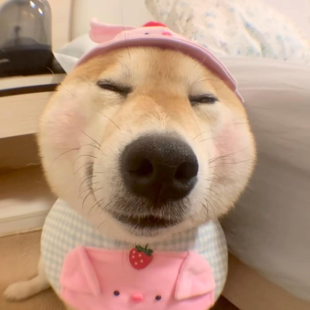 还是心动了呢