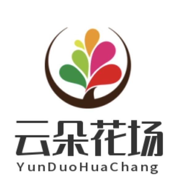 哈密市云朵花场