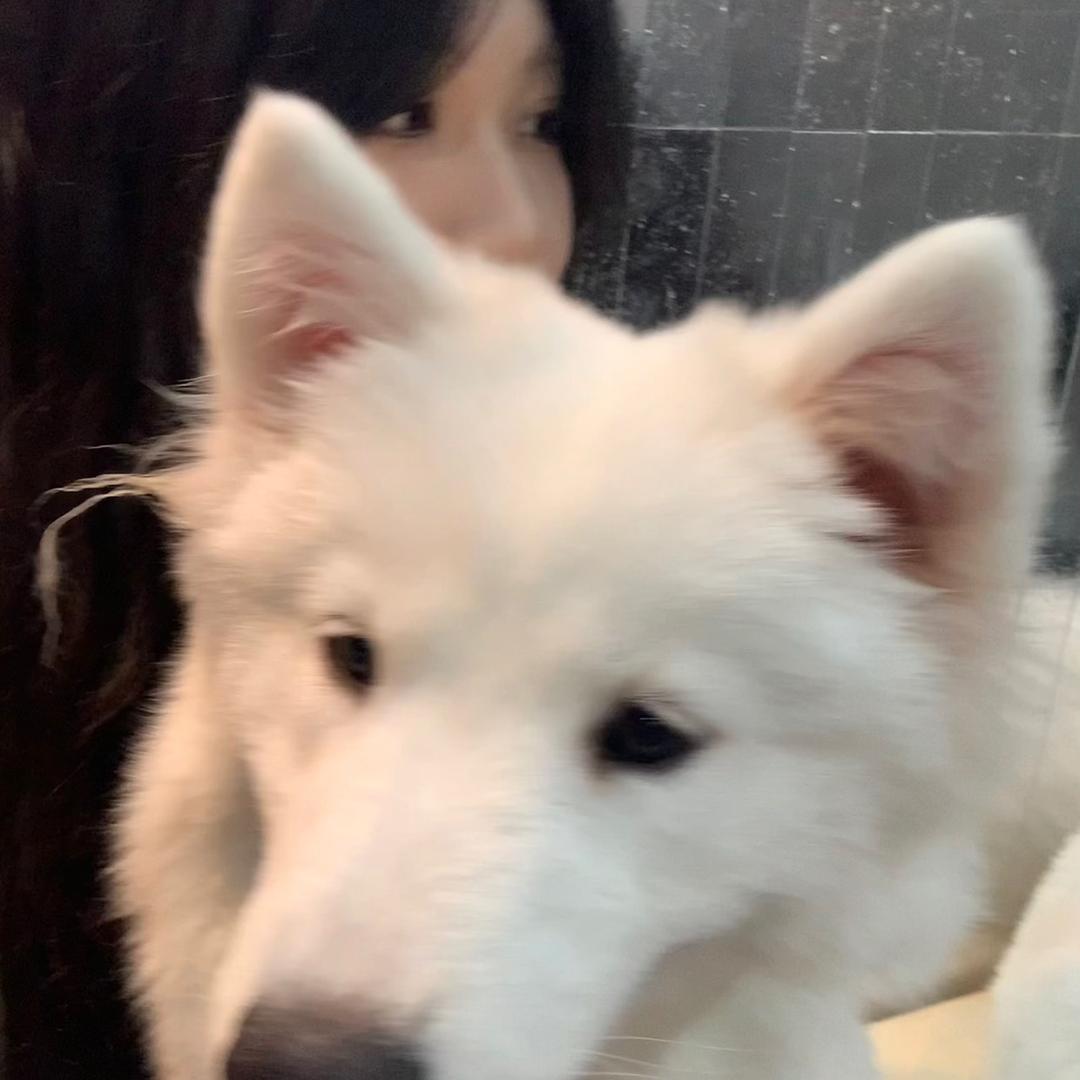姥爷保佑
