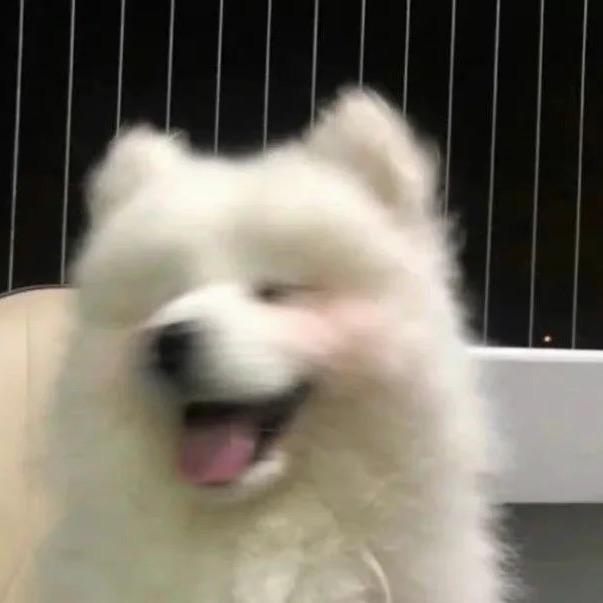 小晓🛹（酸菜鱼版）