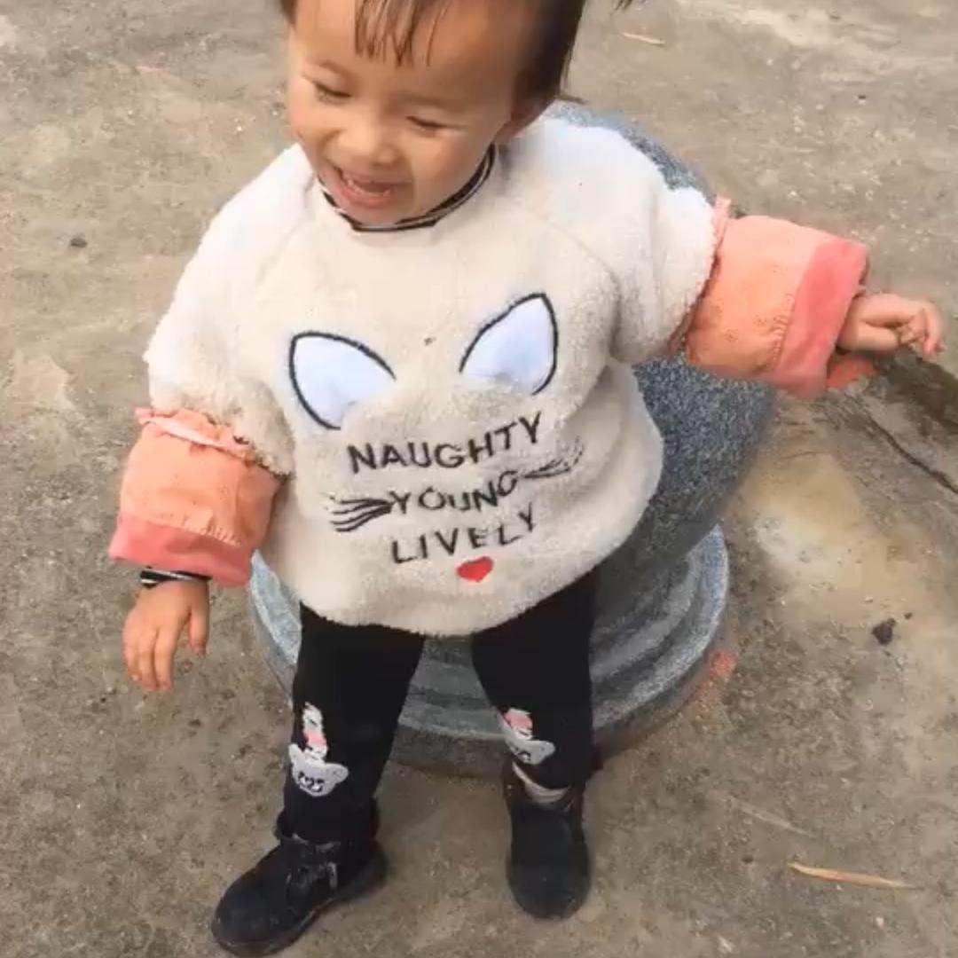 🍃叶子🍁红了