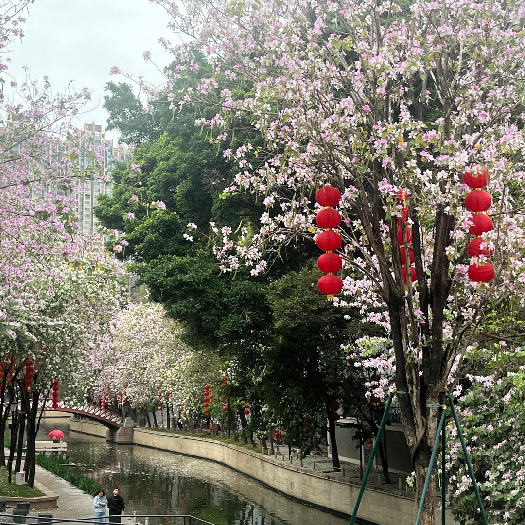 广州鹏于晏