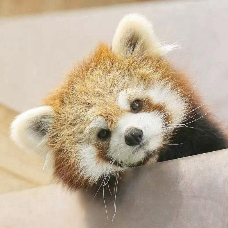 小水面
