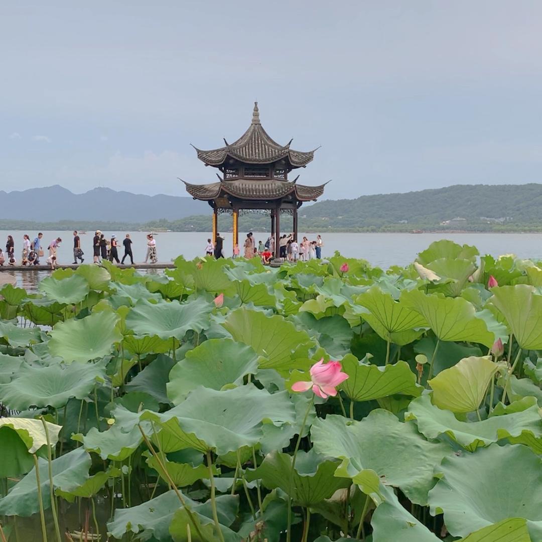 醉美西湖