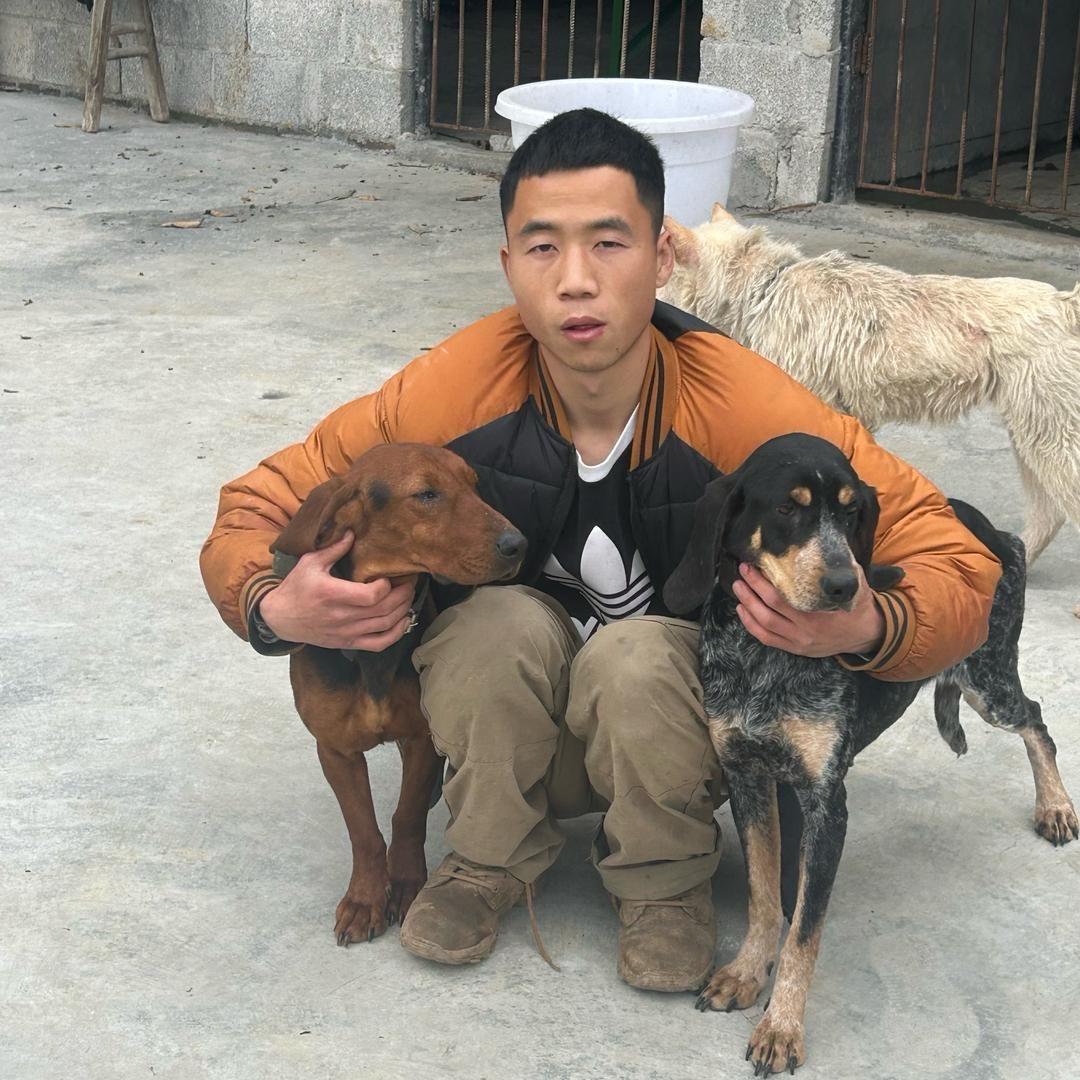 杠杠豆