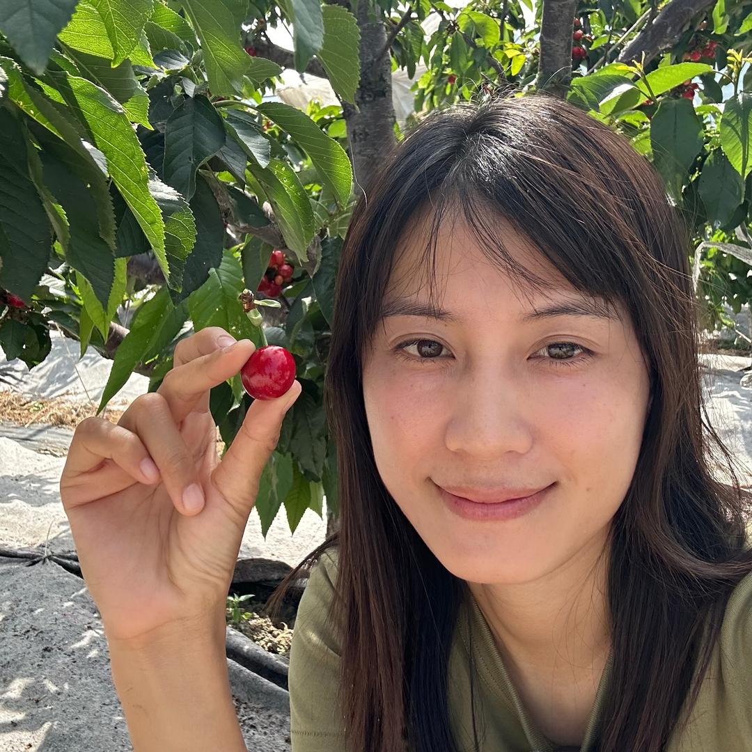 达达的食纪