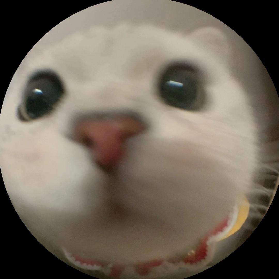 楼想想