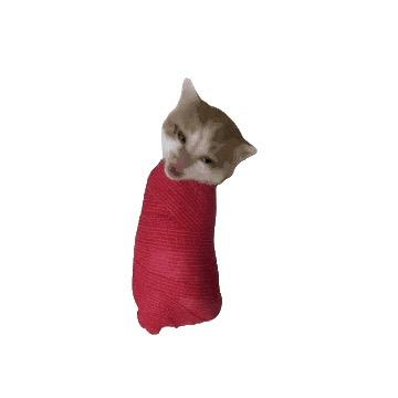 ^-^