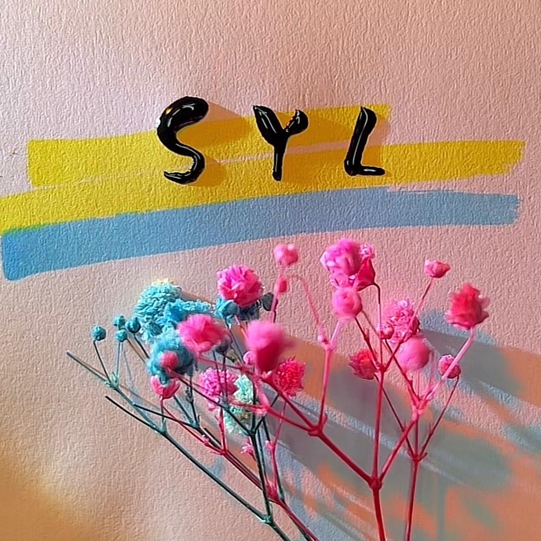SYL2009