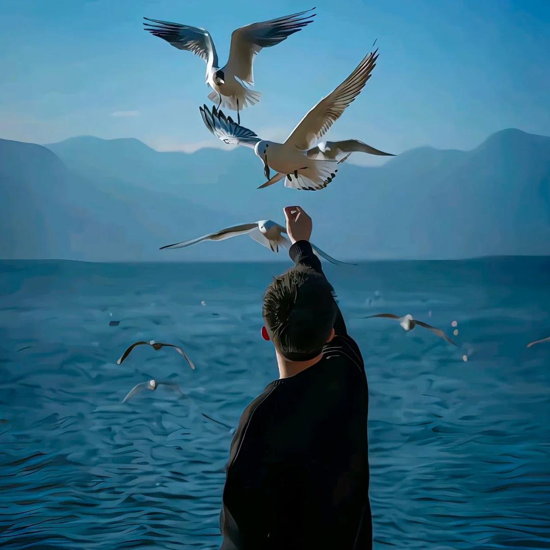 香蕉不吃哈密瓜