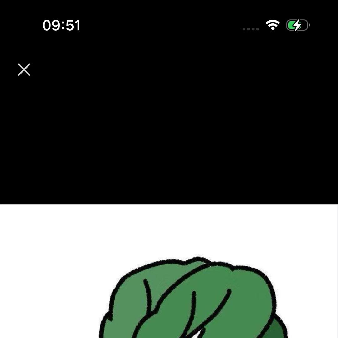 常德新快线汽车运输服务有限公司