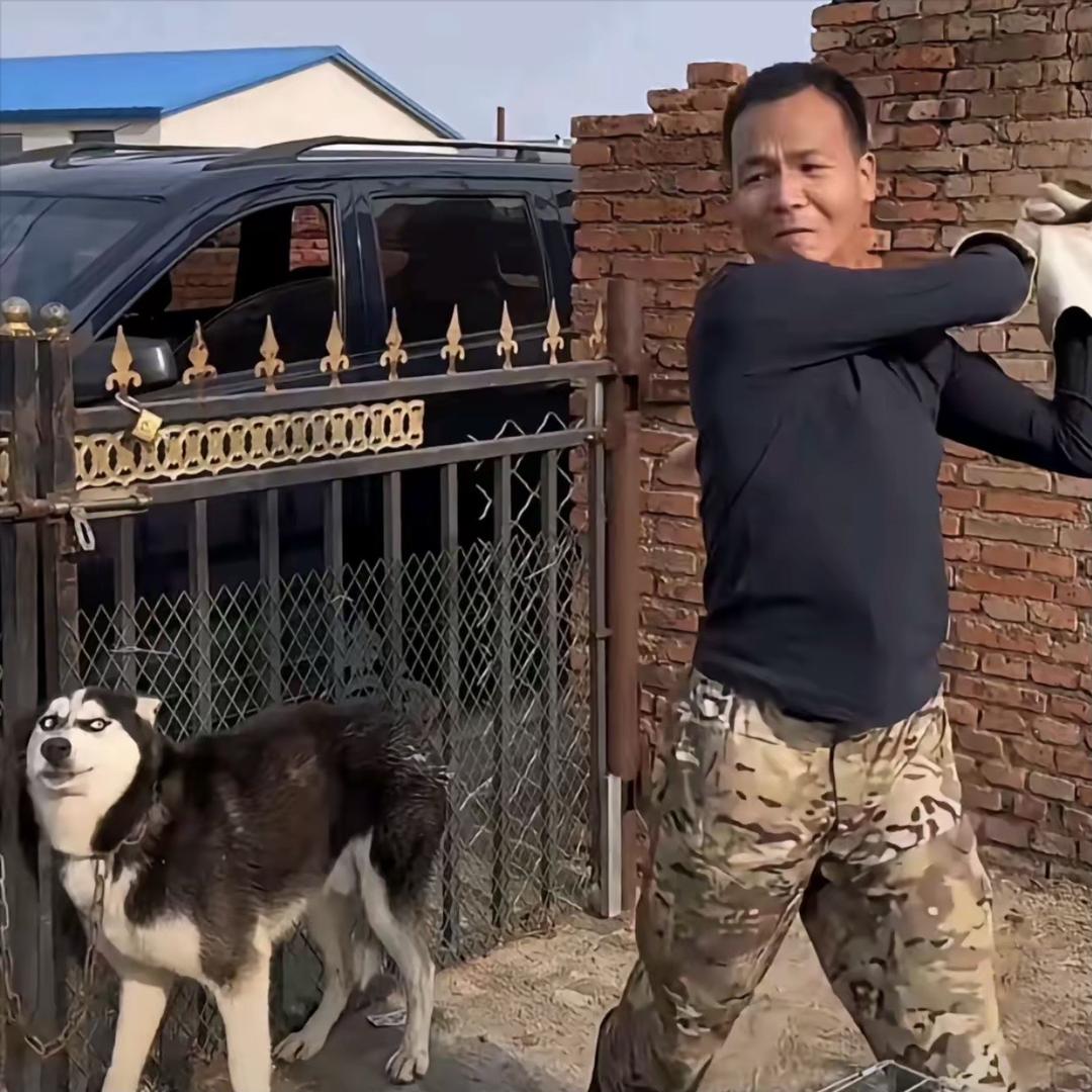 潘宏爱找狗