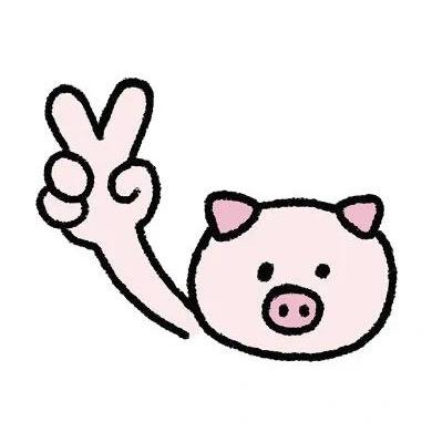 🌸开富贵
