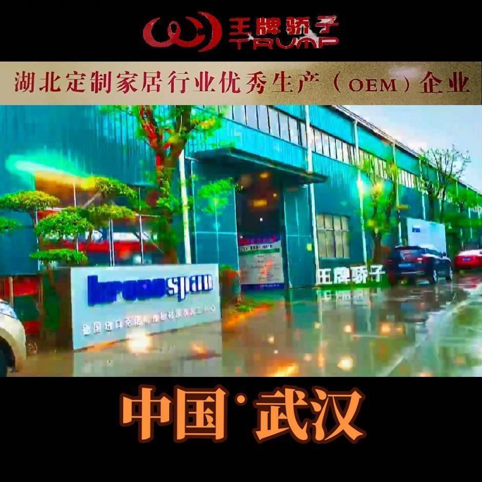 武汉王牌骄子工厂⭐️⭐️⭐️⭐️⭐️